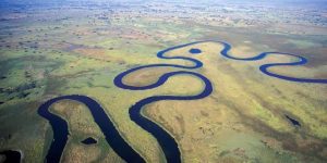 Read more about the article Exhilarating Journey Through Okavango Delta